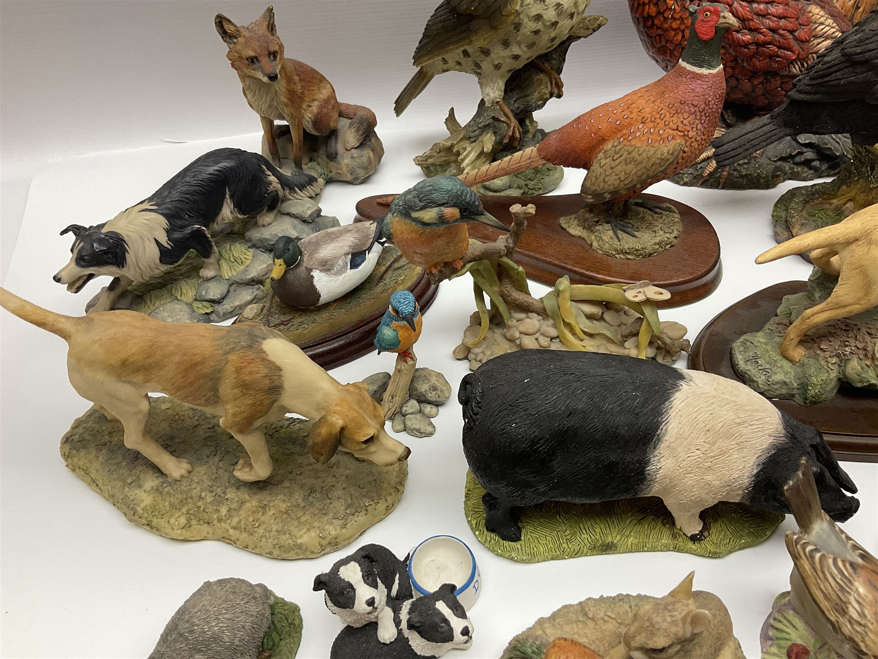 British wildlife, dogs and other animal figures, to include examples by Border Fine Arts, Teviotdale and David Hughes, etc