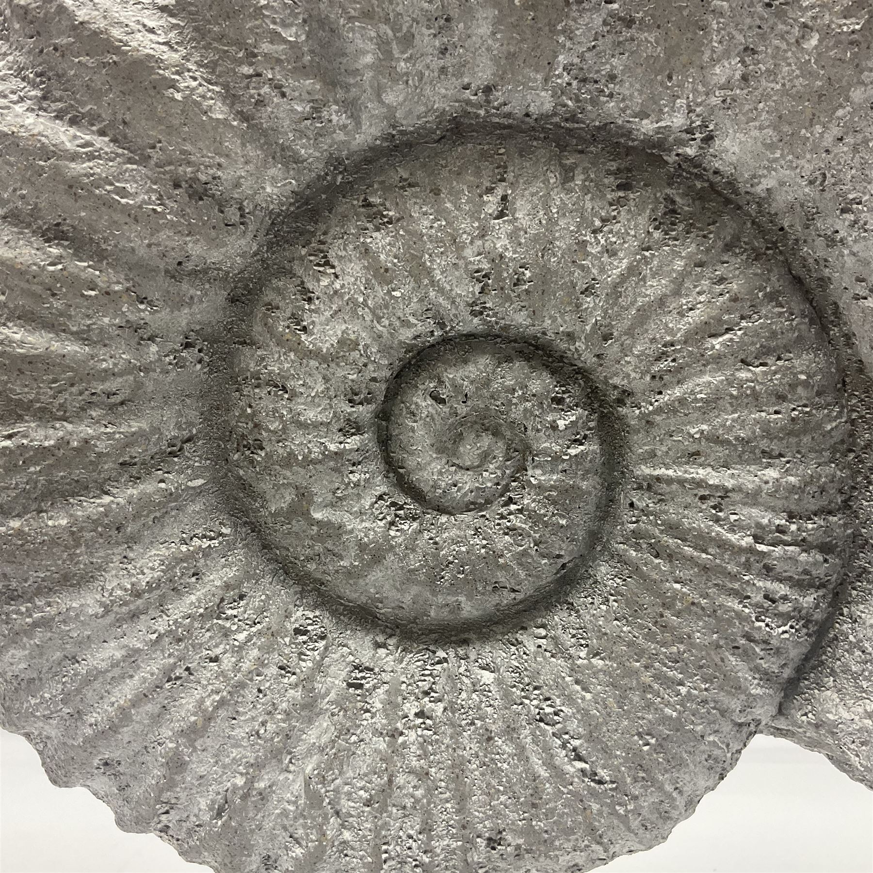 Composite Ammonite, raised on a wooden stepped plinth, H36cm