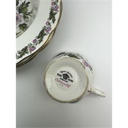 Royal Albert Cotswold pattern tea and dinner wares, including soup bowls, teacups, saucers, cereal bowls and side plates