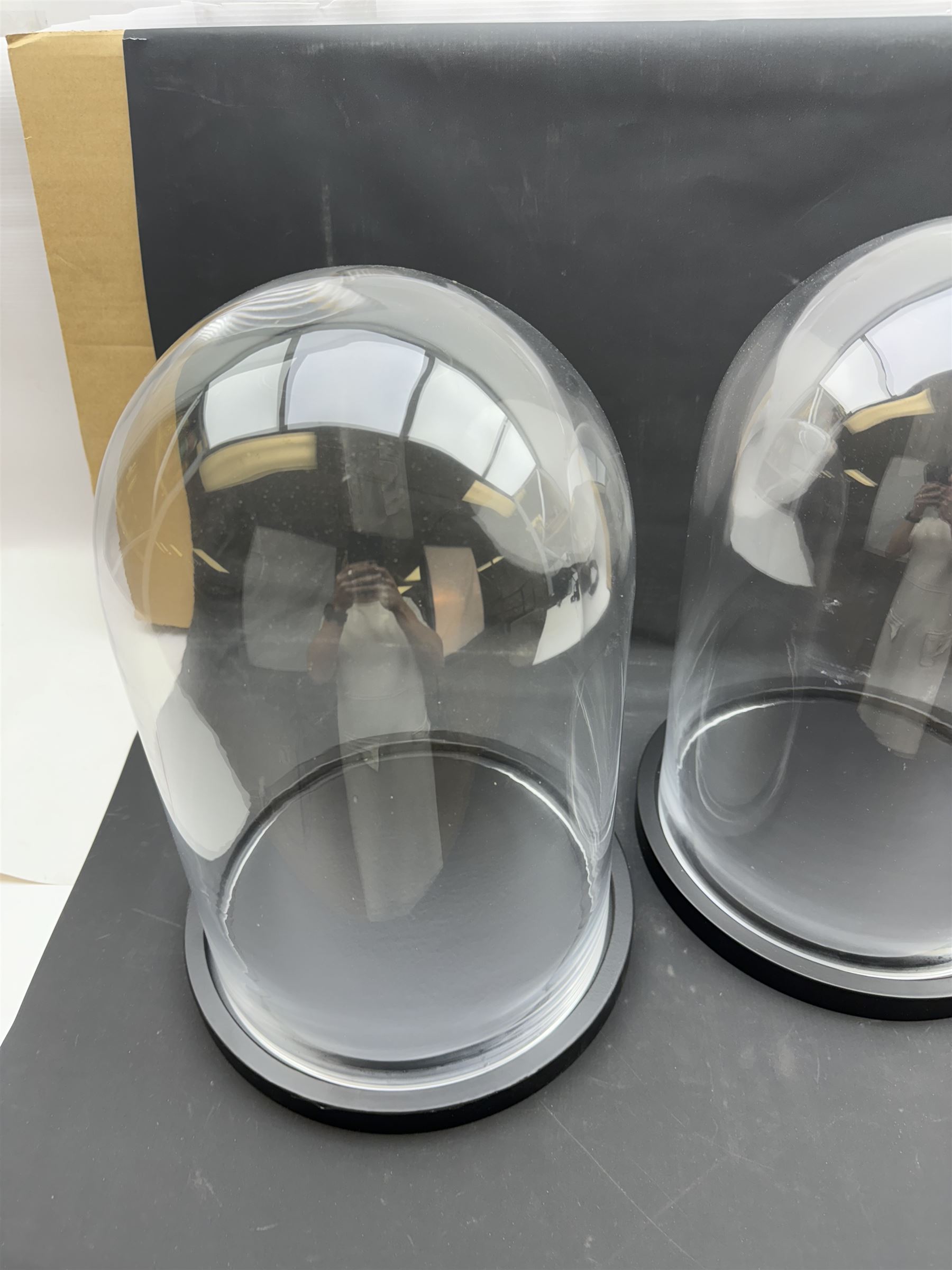 Pair of glass domes upon circular bases, H42cm