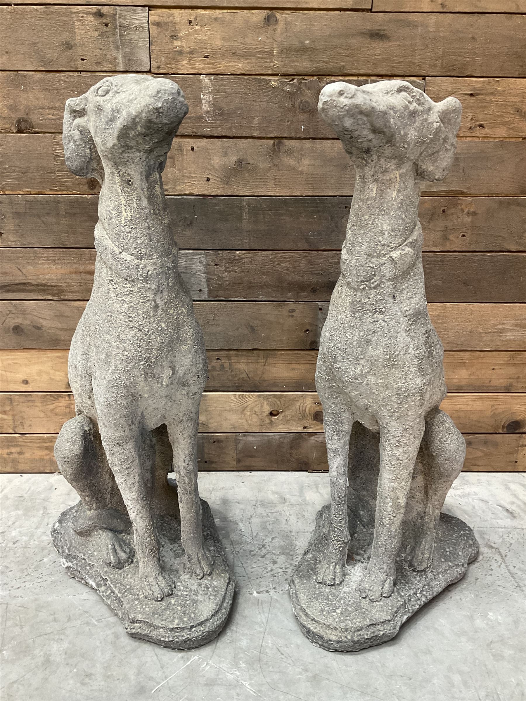 Pair of cast stone French lurchers, seated pose, on shaped plinth