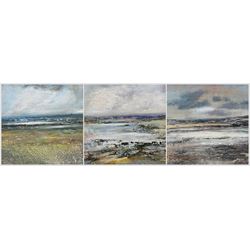 Peter Hodson (British Contemporary): Coastal Scenes, three oils on board signed max 25cm x 25cm (3)