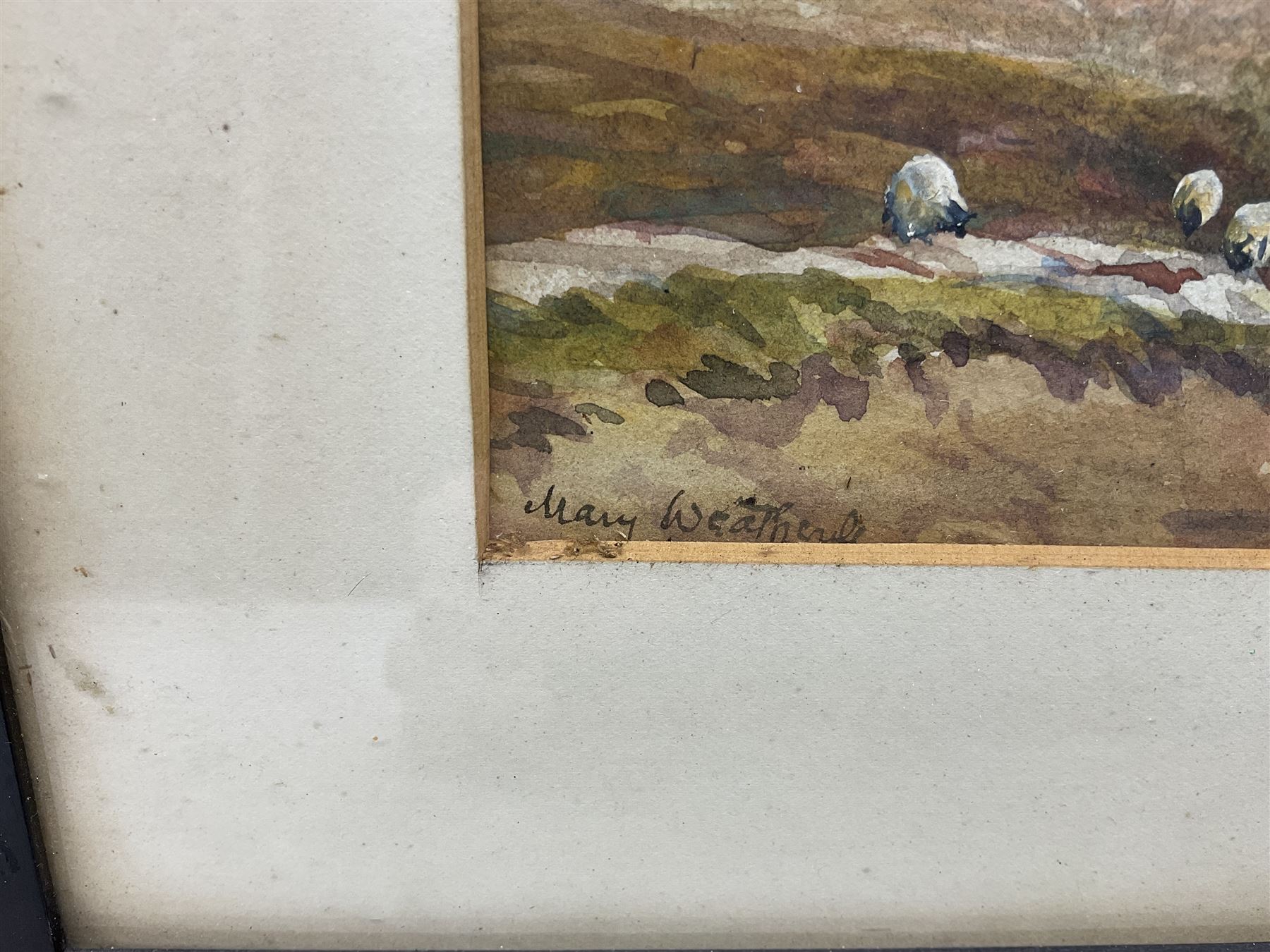 Mary Weatherill (British 1834-1913): Sheep Grazing in the Esk Valley, watercolour signed 13cm x 28cm