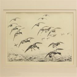 Winifred Marie Louise Austen (British 1876-1964): Snipe and Ducks in Flight, pair etching signed in pencil max 23cm x 31cm (2)