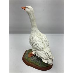 Border Fine Arts Birds by Russell Willis, Goose A0125