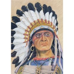 Peter F Tweedie (Britsh Contemporary): 'Touch the Clouds' - Portrait of a Native American, pastel signed and dated '96, titled verso with biographical information 29cm x 20cm