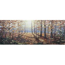 Chris Geall (British 1965-): Autumn Morning, oil on canvas signed 40cm x 100cm 