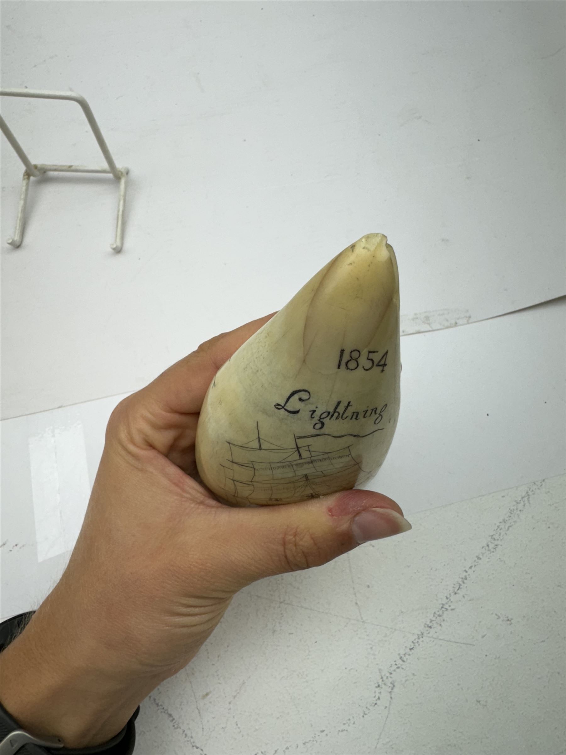 19th century scrimshaw sperm whale tooth, inscribed 1854 Lightening to one side and Red Jacket to the other with a ship at sea, H15cm 