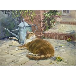 Iris Collett (British 1938-): Tabby Cat and Robin, oil on board signed 44cm x 59cm