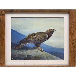 Gordon C Turton (British 1947-): Partridge and Eagle, two watercolours signed, dated '10 and '11, respectively, 25cm x 20cm (2)