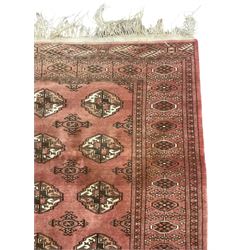 Afghan Bokhara red ground rug, the field decorated with five rows of Gul motifs, guarded border decorated with lozenges and geometric pattern 