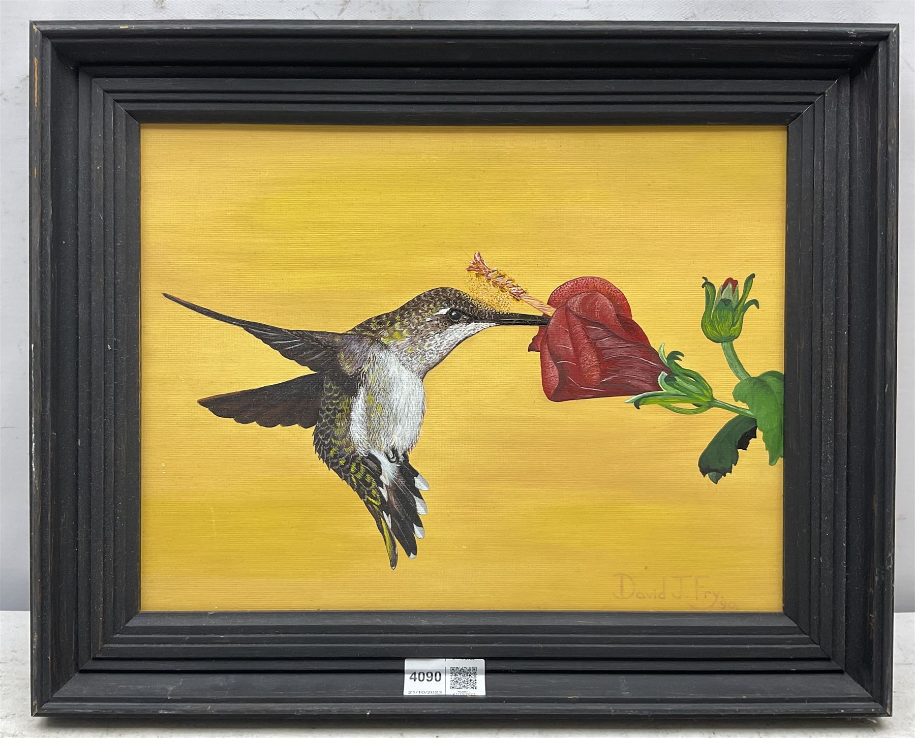 David J Fry (Herefordshire 20th century): Hummingbird, oil on board signed and dated '90, 23cm x 31cm