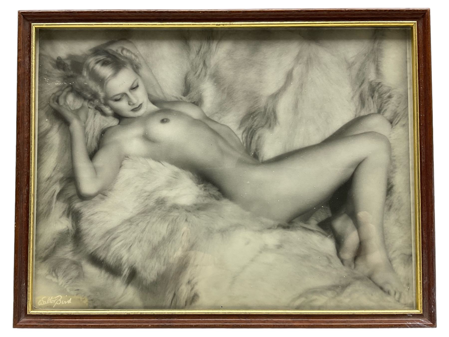 Walter Bird (British 1903-1969): Lady on Fur, photograph 22cm x 29cm 