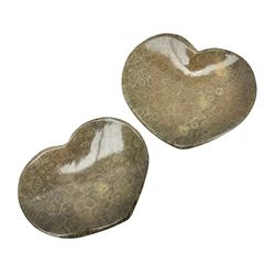 Two fossilised coral dish in the form of hearts, largest H13cm