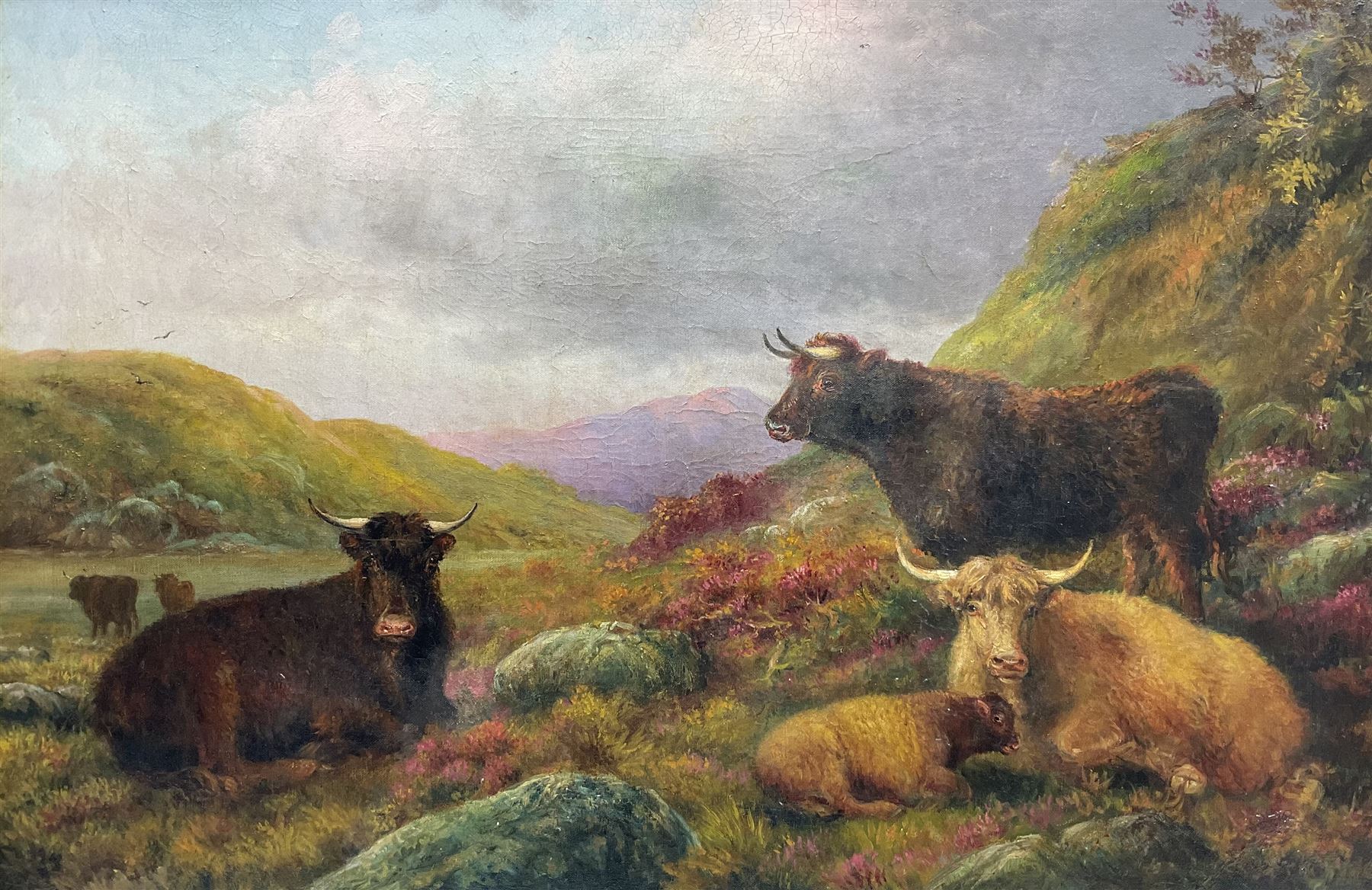 English School (Early 20th century): Highland Cattle, oil on canvas unsigned 59cm x 89cm