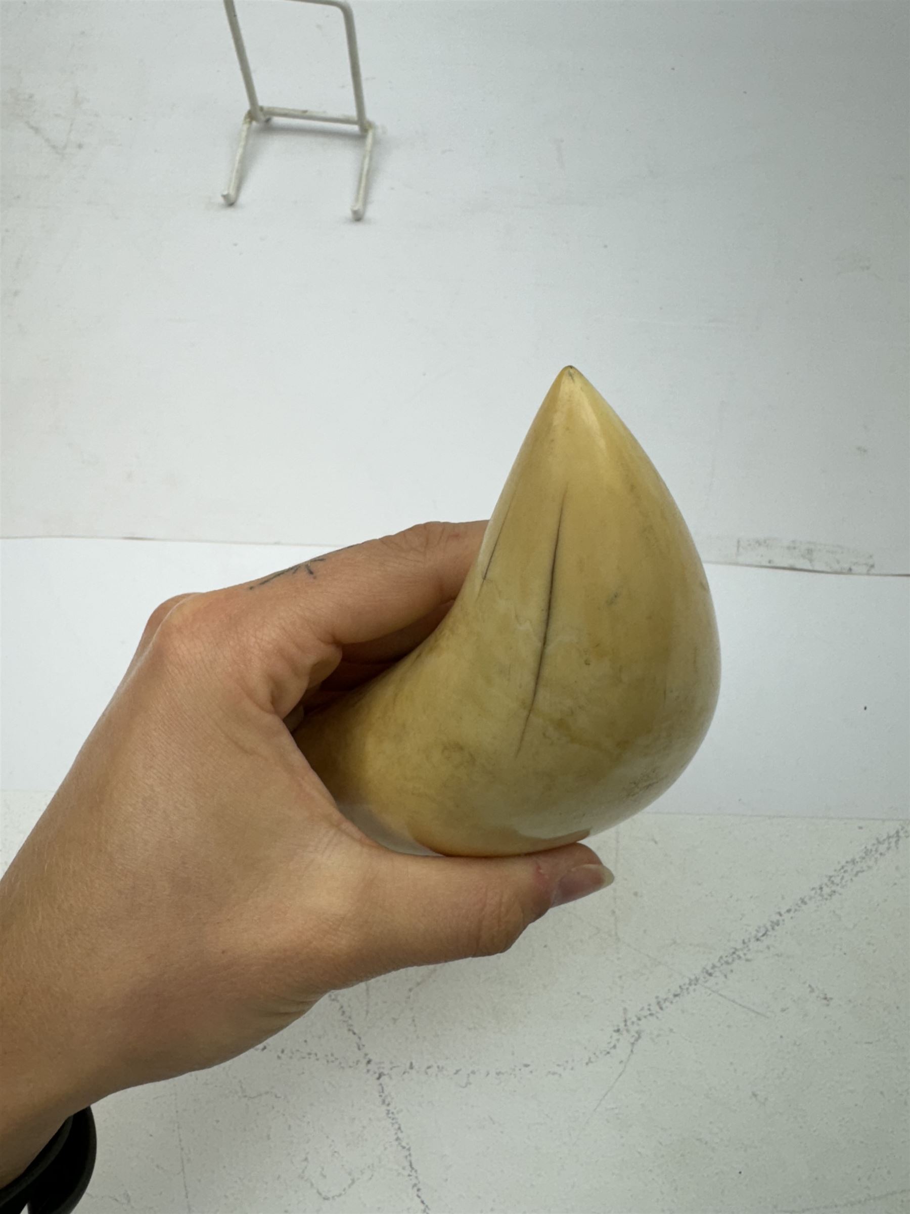 19th century scrimshaw whale tooth, depicting a woman in period dress, L17cm