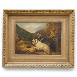 George Armfield (British 1808-1893): Two Terriers on a Hilltop, oil on canvas signed and indistinctly dated 25cm x 34cm