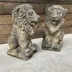 Pair of small weathered cast stone garden seated lions