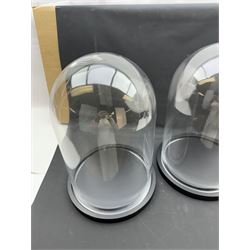 Pair of glass domes upon circular bases, H42cm