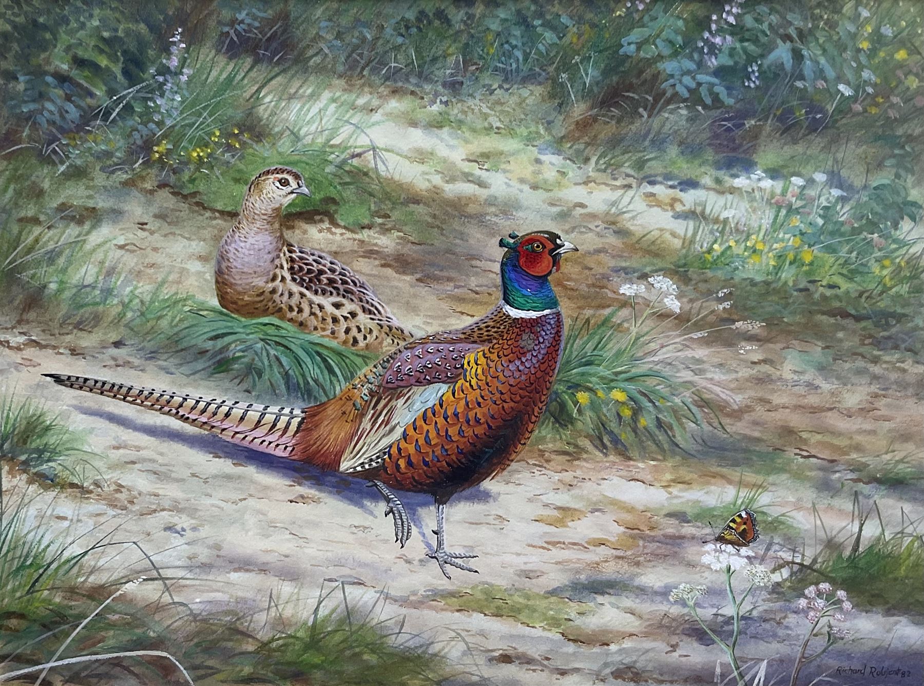 Richard Robjent (British 1937-): Pheasants and Butterfly, watercolour signed and dated '82, 25cm x 34cm