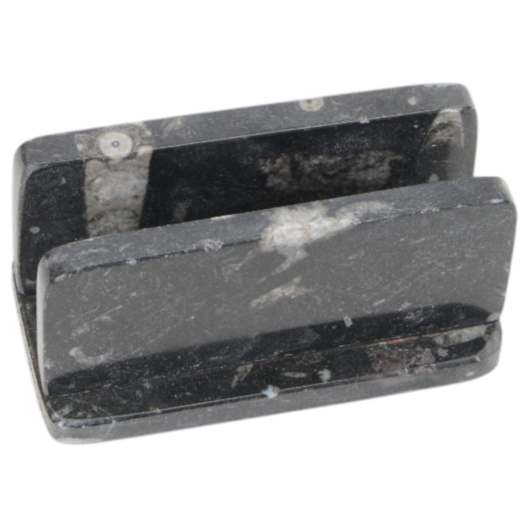 Letter rack with Orthoceras and Goniatites inclusions, H5cm, L10cm