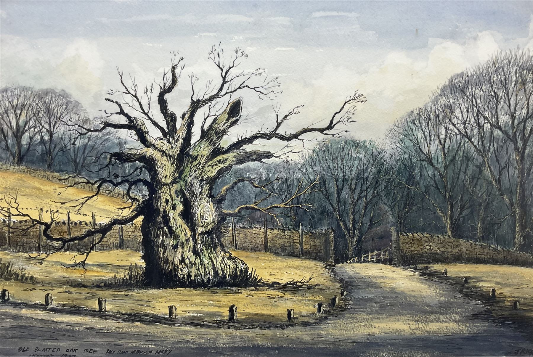 Jack Rigg (British 1927-2023): 'The Laund Oak' at Bolton Abbey, watercolour and ink signed inscribed and dated 1987, further inscribed verso 37cm x 55cm 
Notes: the Laund Oak was thought to be one of the oldest trees in England, being at least 700 years old but possibly older; it was sadly felled in a storm in January 2017.