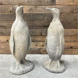 Pair of cast stone standing Penguins, on circular base