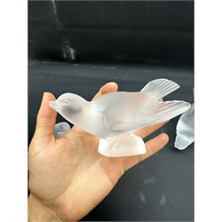 A set of three Lalique frosted glass models of birds, all engraved Lalique France, tallest example H9cm