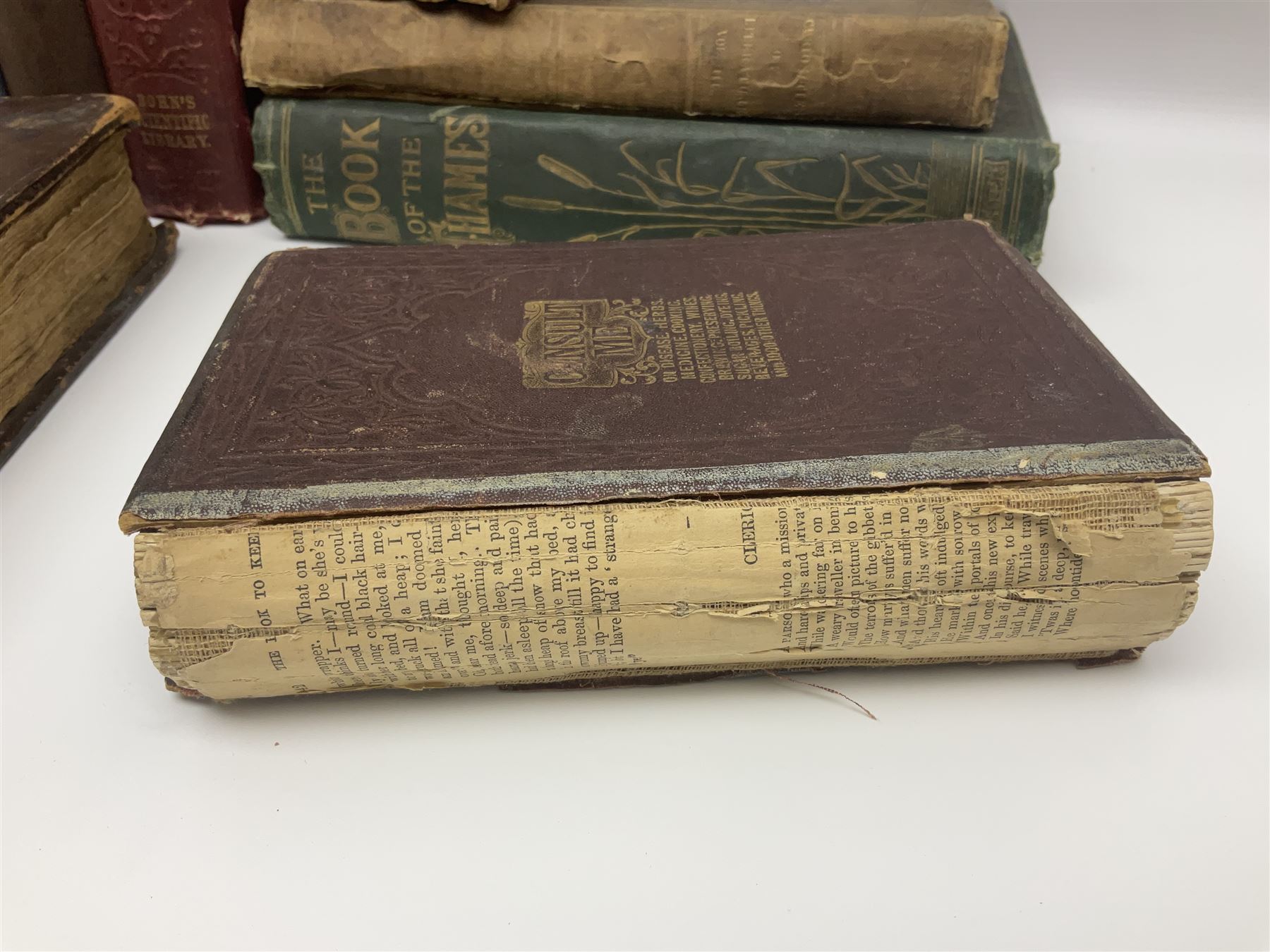 Book of Martyrs with an Account of the Acts and Movements of Church and State, Vol II pub D Brown, london, together with Consult me, to know how to cooks, pub; William Nicholson and sons and other books 