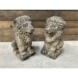 Pair of small weathered cast stone garden seated lions