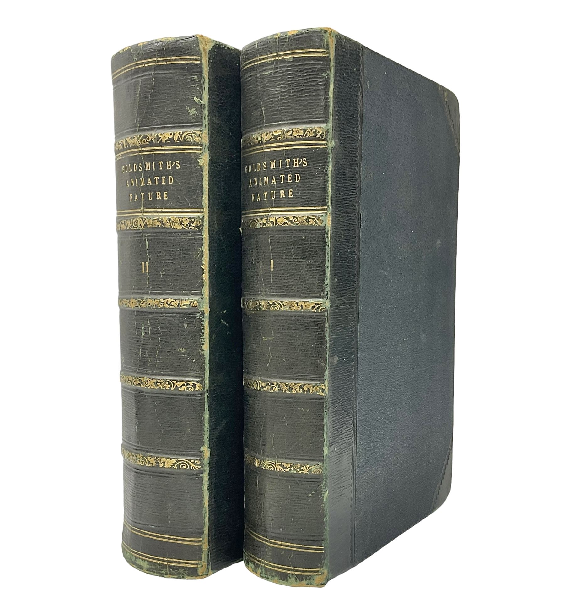 Oliver Goldsmith; Goldsmith’s Animal Nature A History of The Earth and Animated Nature, two volumes, A. Fullarton & Co London & Edinburgh, 1860