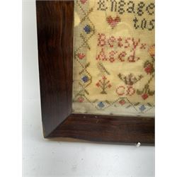 Victorian sampler by Betsy Douglas aged 9, worked with religious verse and urn of flowers, within a fruiting vine border, dated 1851 and further detailed with monograms CD and JD, within a rosewood frame, sampler 30.5cm x 30.5cm