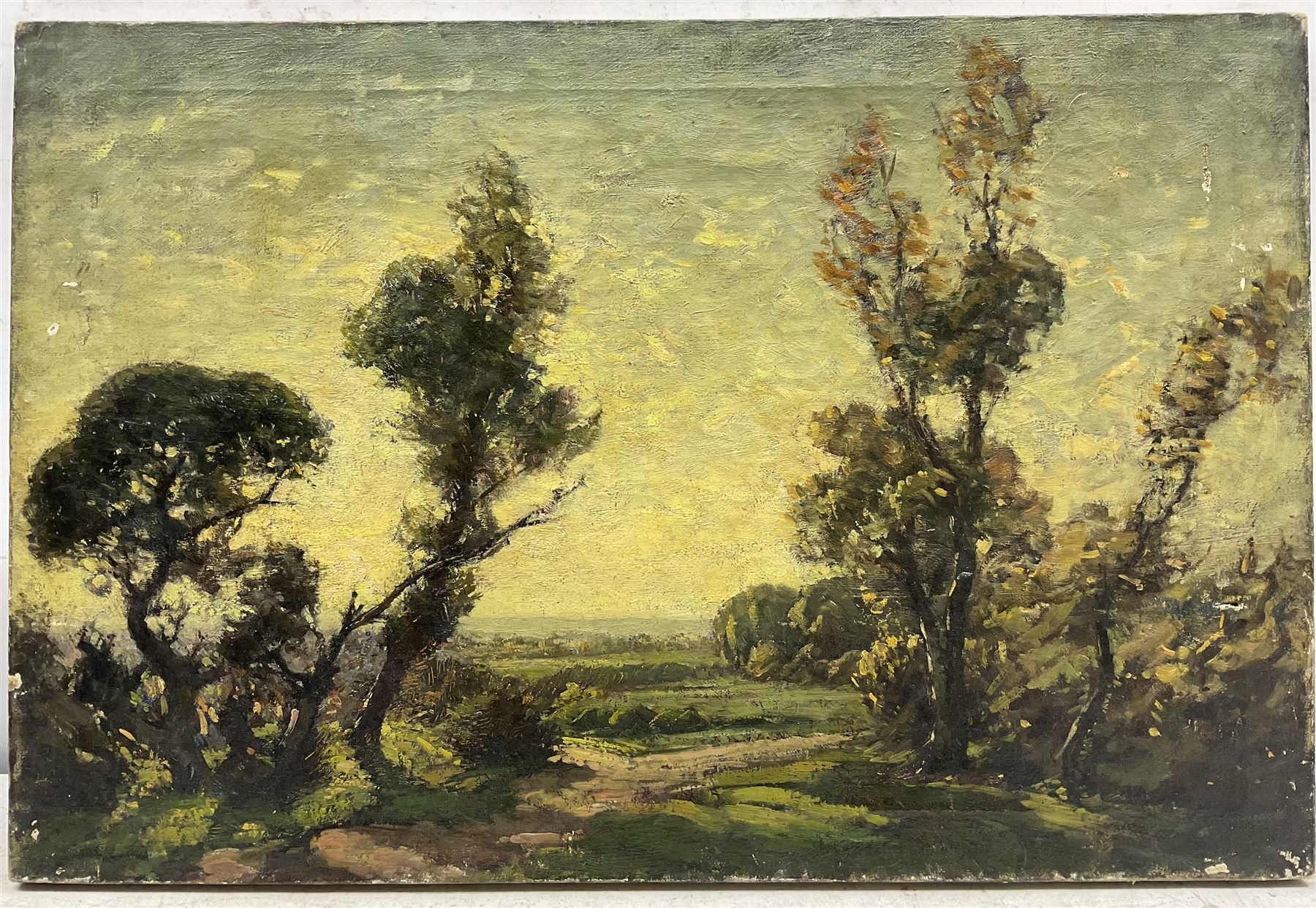 Paul Paul (Staithes Group 1865-1937): Trees at Sundown, oil on canvas unsigned 24cm x 41cm (unframed) 
Provenance: from the collection of the artist's great granddaughter