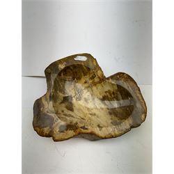 Polished petrified wood dish, some growth rings still visible, texture to edge, H5cm L24cm