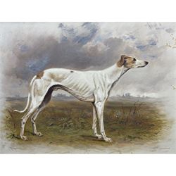 Hannah H Kent (British late 19th century): ‘Marquis of Lorne’ Greyhound Portrait, oil on c...