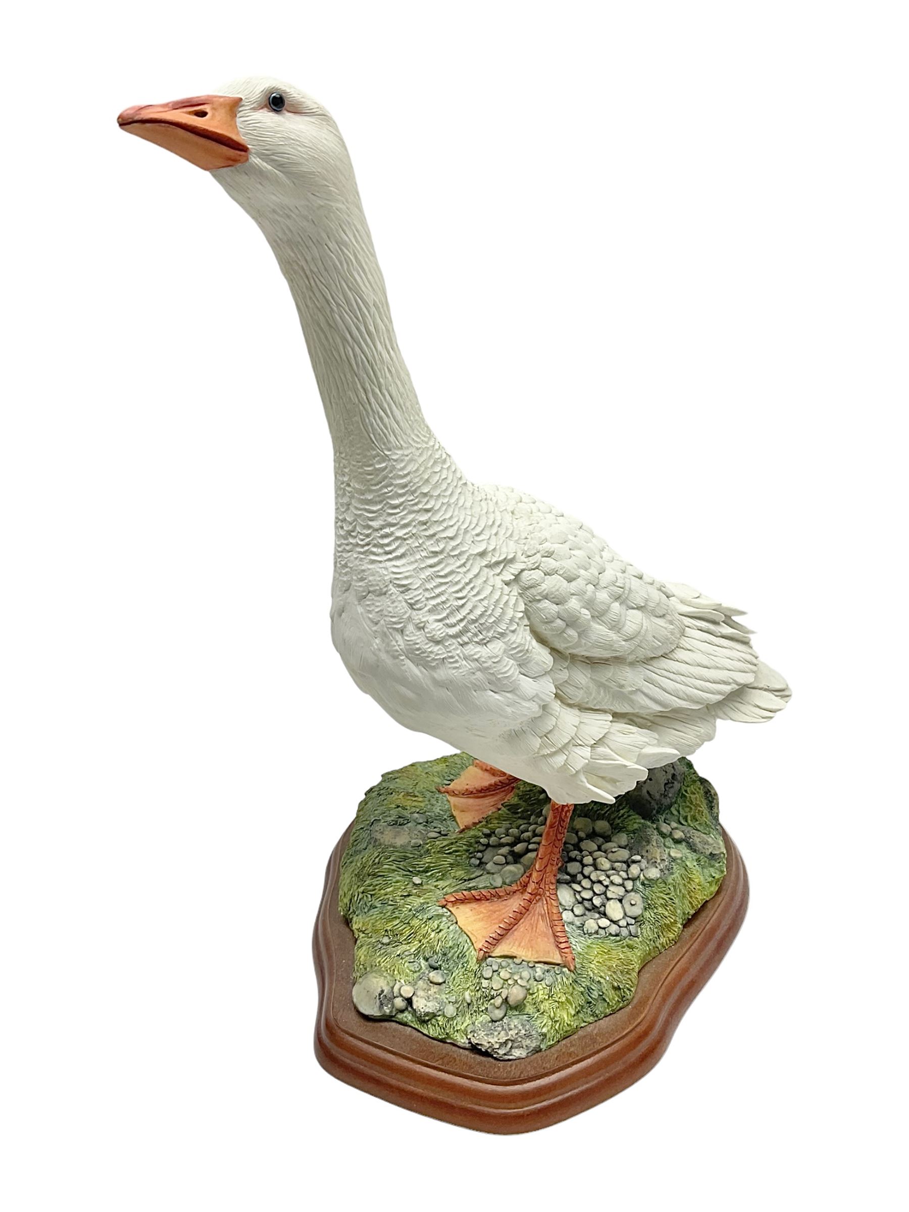 Border Fine Arts Birds by Russell Willis, Goose A0125