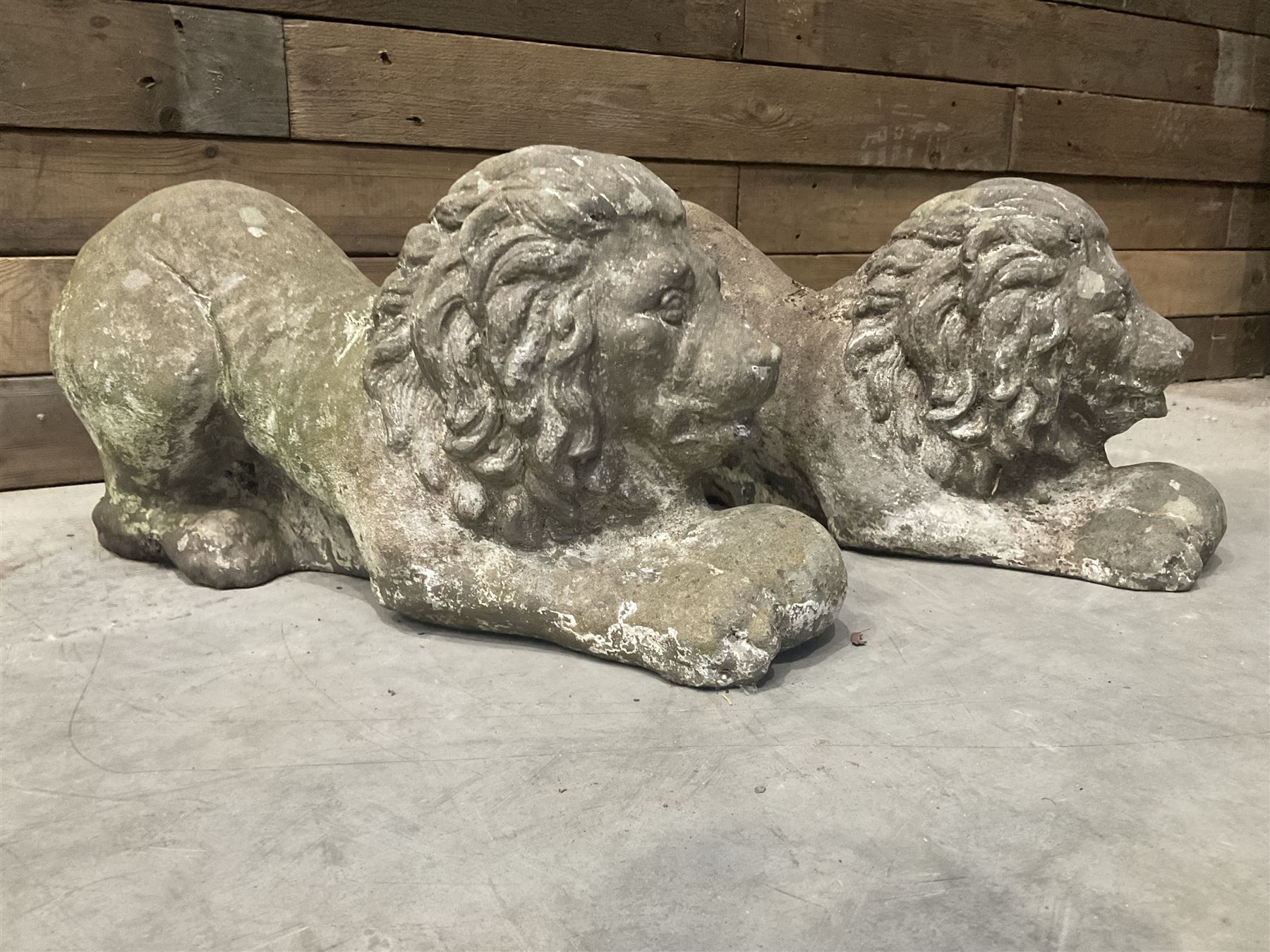 Pair of small cast stone garden recumbent lions