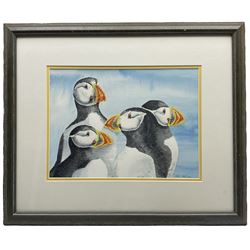 Sheila Frank (Yorkshire Contemporary): Puffins, watercolour signed and dated 2000, 28cm x 38cm 
Provenance: exh. Beverley Art Gallery, 9th December 2000 - 28th January 2001 No.21