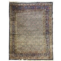 Persian indigo ground rug, the ivory field decorated with all-over flower heads, heavily guarded border with repeating stylised plant motifs