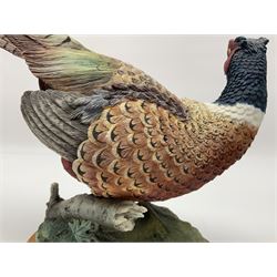 Border Fine Arts Game Birds figure, modelled as a Pheasant, A0659 by Russell Willis, H26cm