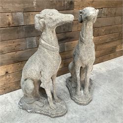 Pair of cast stone French lurchers, seated pose, on shaped plinth