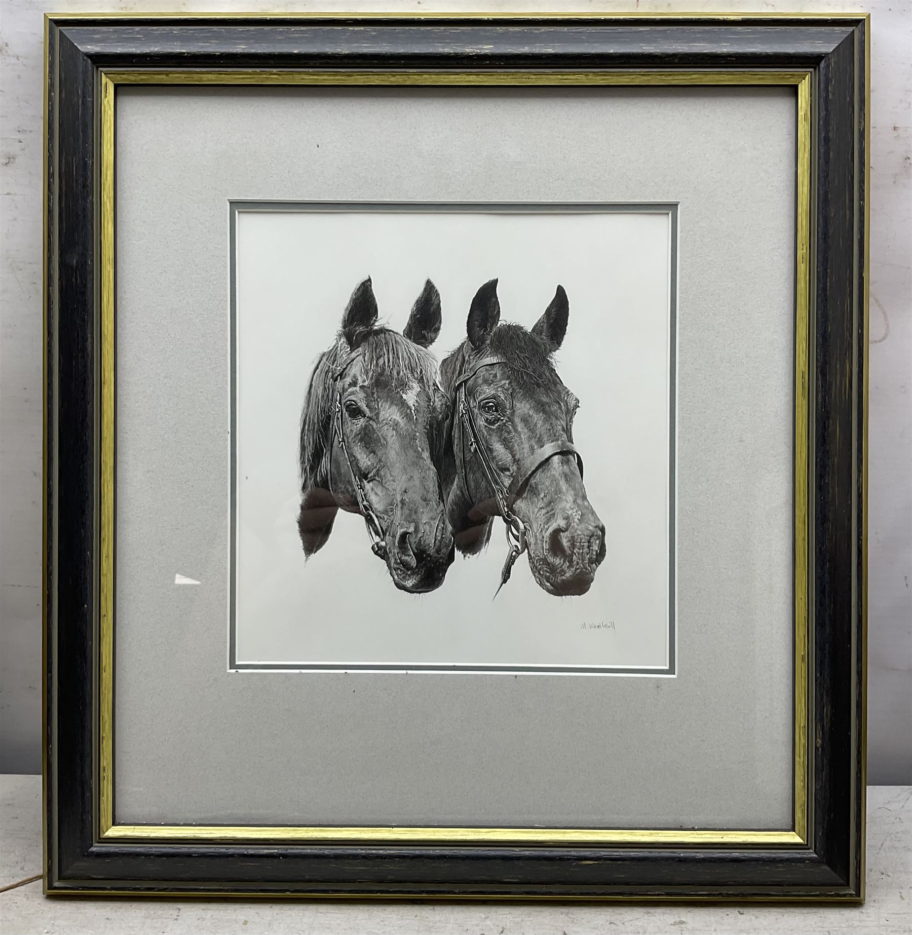 M Weatherill (British Late 20th century): 'Warrior' and other Horses, two pencil drawings signed max 24cm x 22cm (2) 
Notes: 'Warrior' was an ex-police horse, known for predicting the score of Middlesbrough F.C. football matches