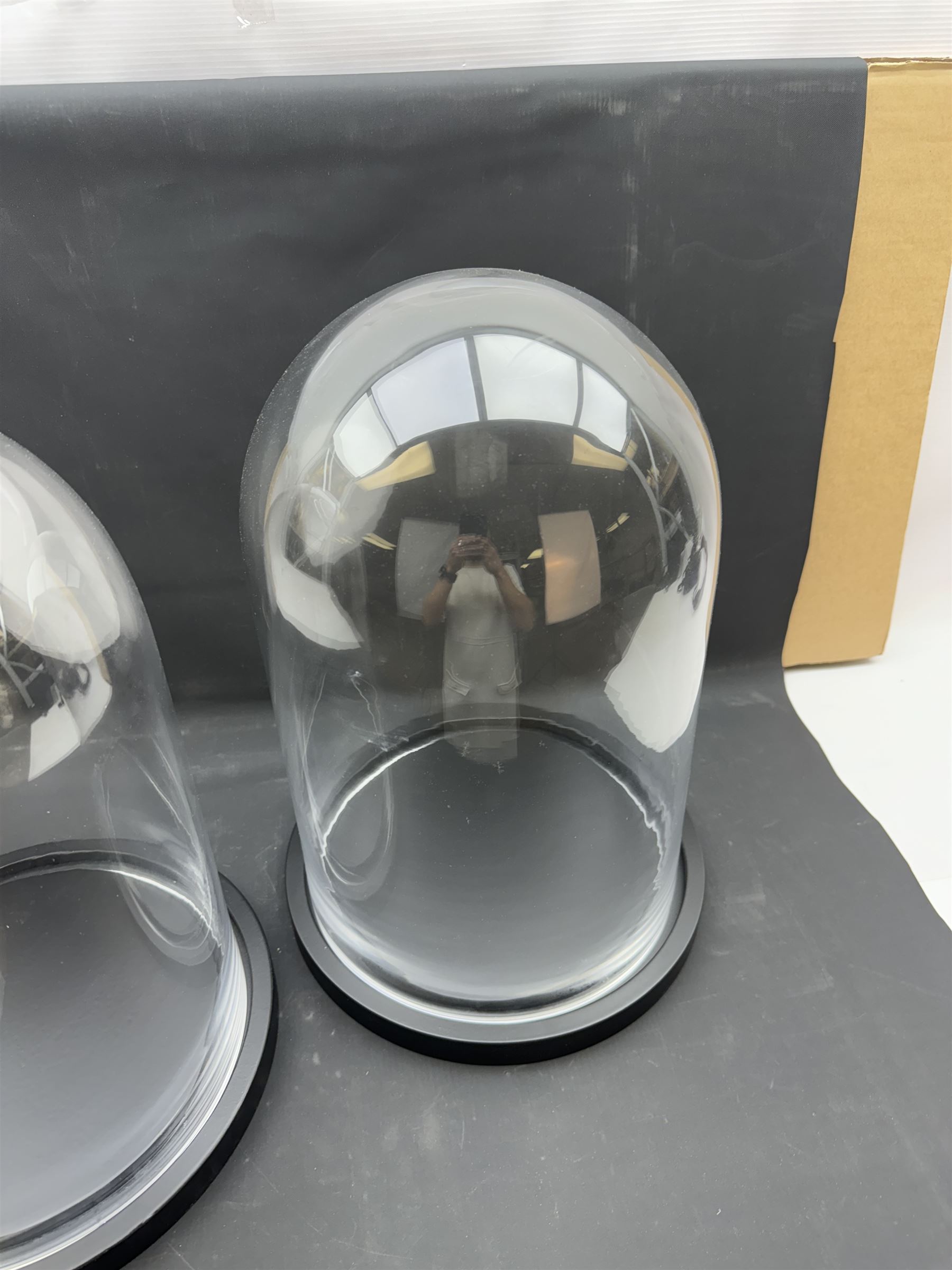 Pair of glass domes upon circular bases, H42cm