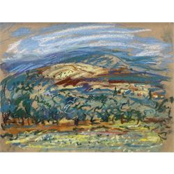 Marjorie Arnfield MBE (Northern British 1930-2001): 'Cherry Trees and Vines - Luberon', pastel signed with initials, titled on label verso 29cm x 39cm 