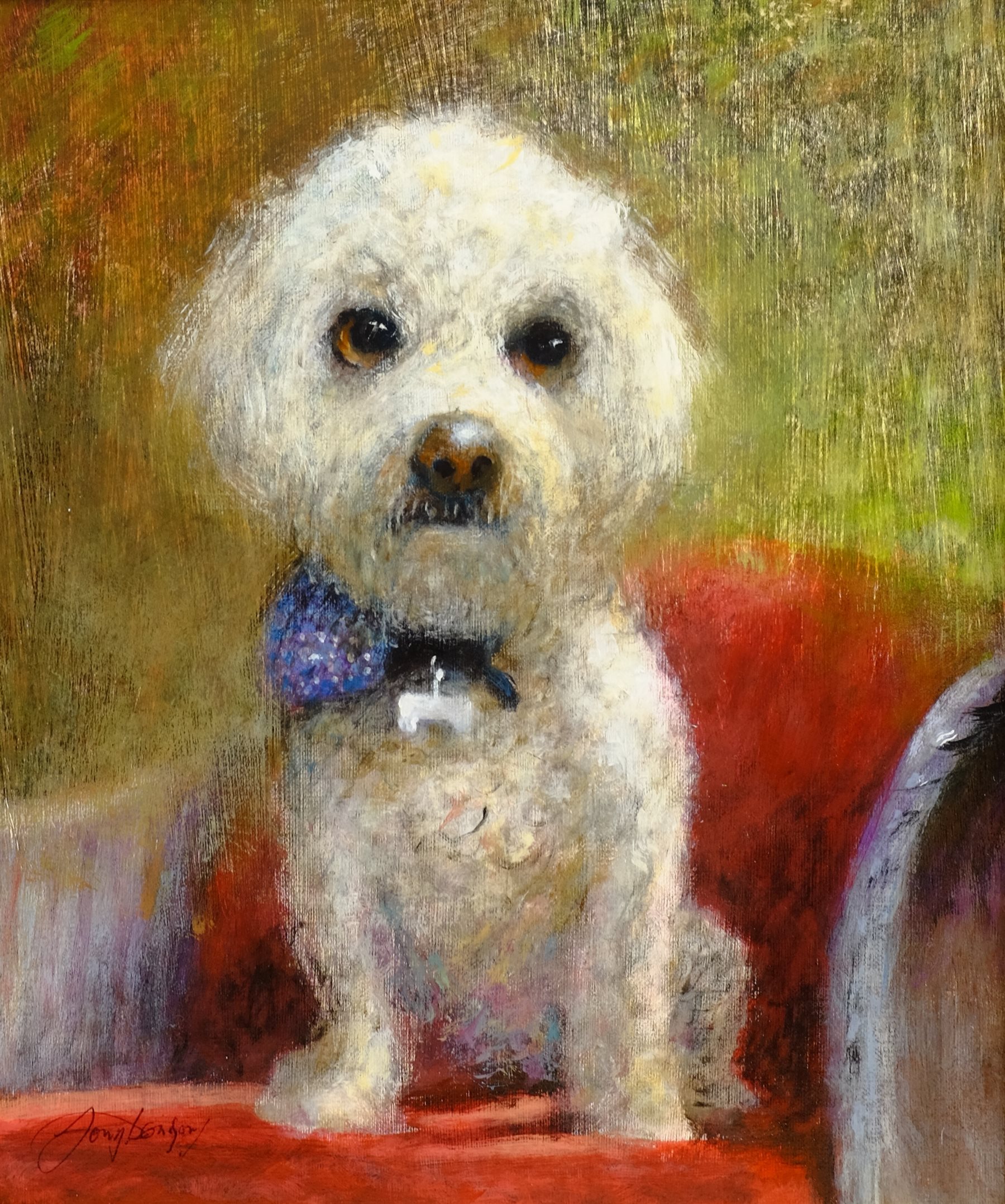  William Anthony 'Tony' Denison (British 1937-): Portrait of a Bichon Frise, oil on board signed 29cm x 24cm  