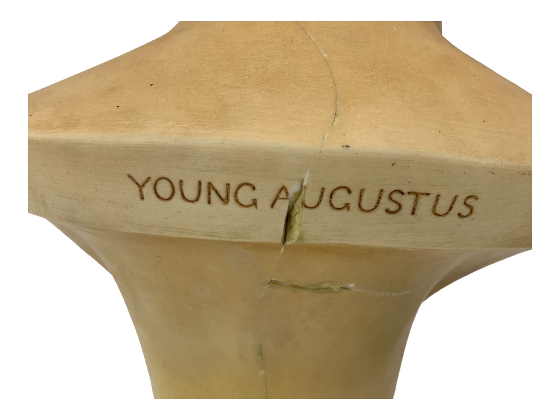 After Antonio Canova (1757 - 1822): 'Young Augustus', faux marble bust on socle plinth, with a faux marble Corinthian column pedestal, H118cm overall 