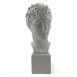 Large plaster classical bust, on integral square plinth, H61cm 