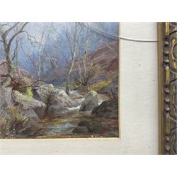 William Greaves (British 1852-1938): Woodland Stream, oil on board signed and dated '18, 17cm x 12cm