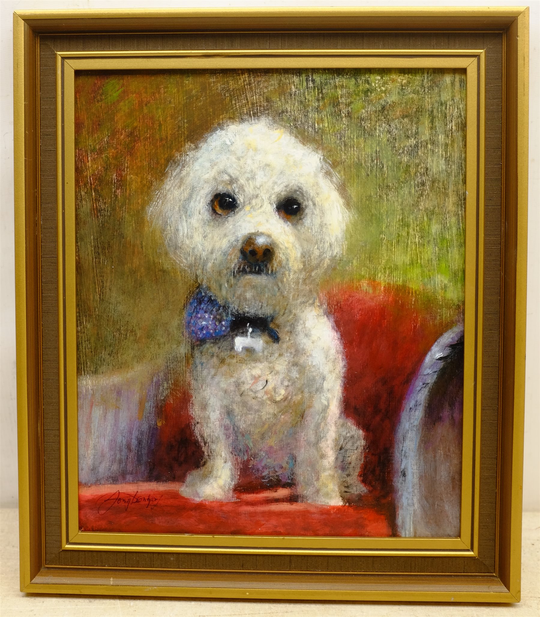  William Anthony 'Tony' Denison (British 1937-): Portrait of a Bichon Frise, oil on board signed 29cm x 24cm  