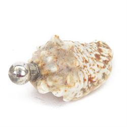 Victorian silver mounted shell scent bottle, with white and brown mottled shell body with ...